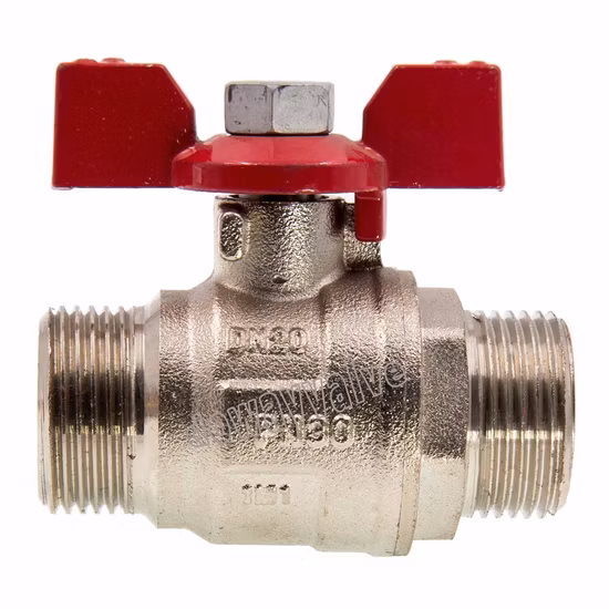 Porta completa forgiata OEM/ODM NPT 600wog 1/2