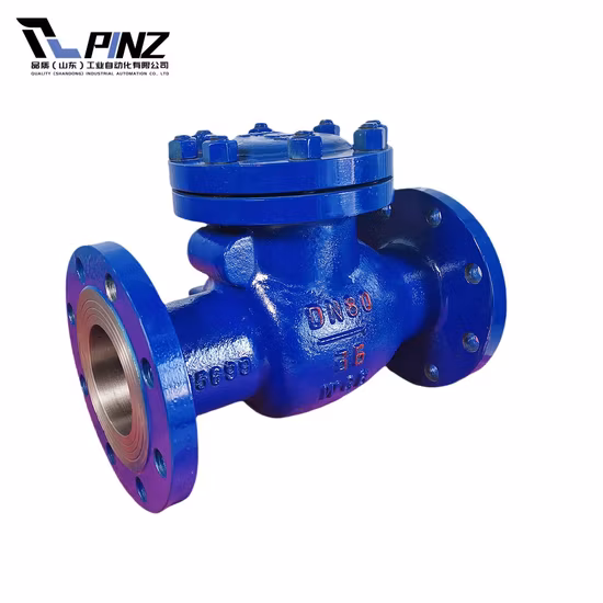 Valvola di ritegno con valvola di non ritorno a sfera di sollevamento a doppia piastra di silenziamento del corpo in ghisa di aspirazione Pn16
